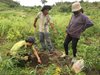  Xã Ia Rtô hoàn thành kế hoạch trồng rừng năm 2018