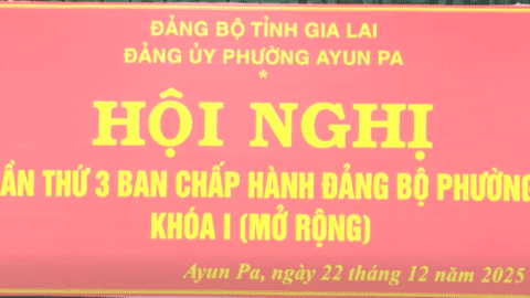 Ban Chấp hành Đảng bộ phường Ayun Pa tổ chức Hội nghị Ban Chấp hành Đảng bộ phường lần thứ ba (mở rộng) nhằm đánh giá kết quả thực hiện nhiệm vụ chính trị trong năm 2025 và đề ra chỉ tiêu, nhiệm vụ trọng tâm năm 2026.